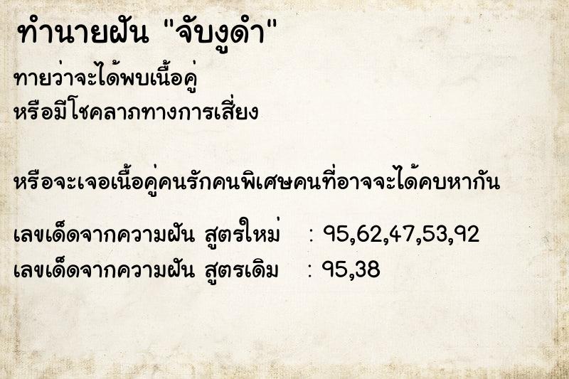 ทำนายฝัน จับงูดำ