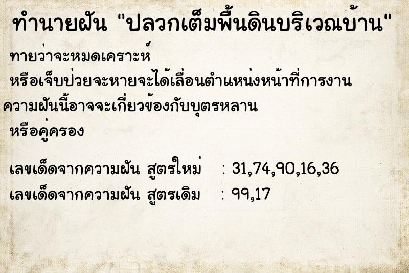 ทำนายฝัน ปลวกเต็มพื้นดินบริเวณบ้าน