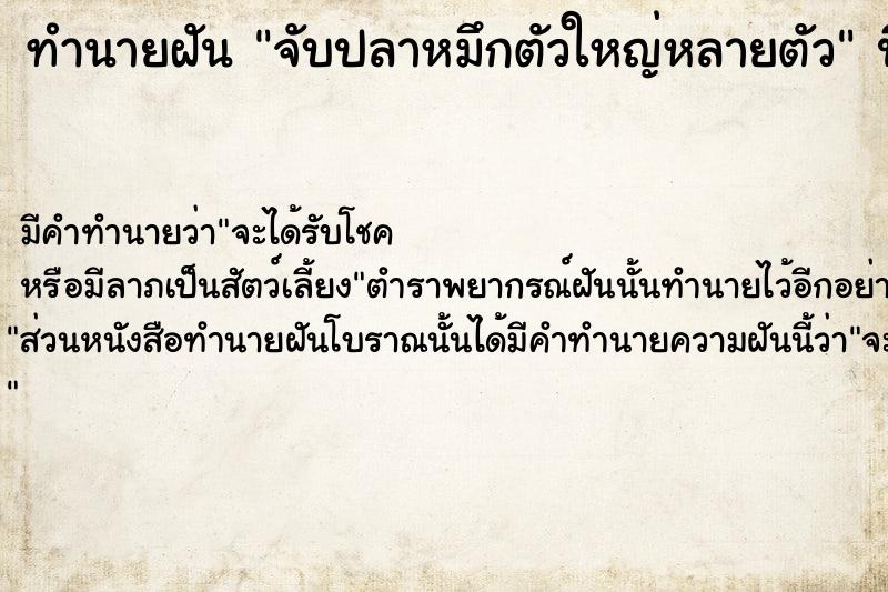 ทำนายฝัน จับปลาหมึกตัวใหญ่หลายตัว  เลขนำโชค 