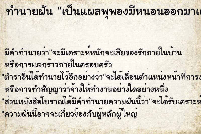 ทำนายฝัน เป็นแผลพุพองมีหนอนออกมาเต็มตัว