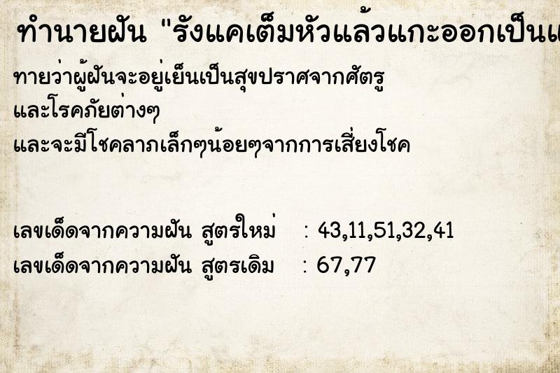 ทำนายฝัน รังแคเต็มหัวแล้วแกะออกเป็นแผ่นใหญ่มาก