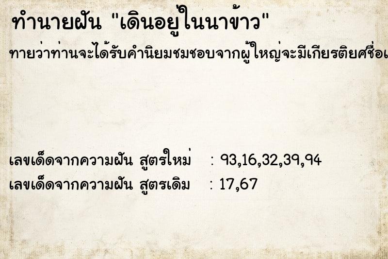 ทำนายฝัน เดินอยู่ในนาข้าว