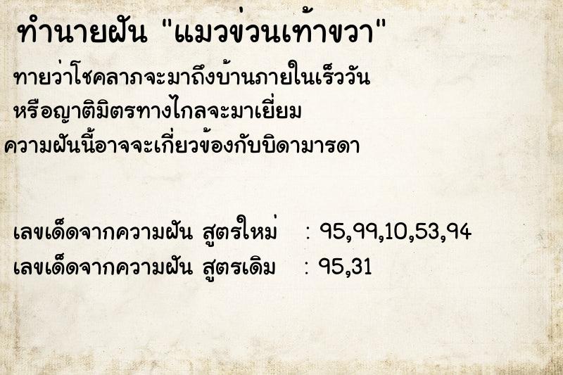 ทำนายฝัน แมวข่วนเท้าขวา