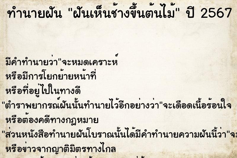 ทำนายฝัน ฝันเห็นช้างขึ้นต้นไม้