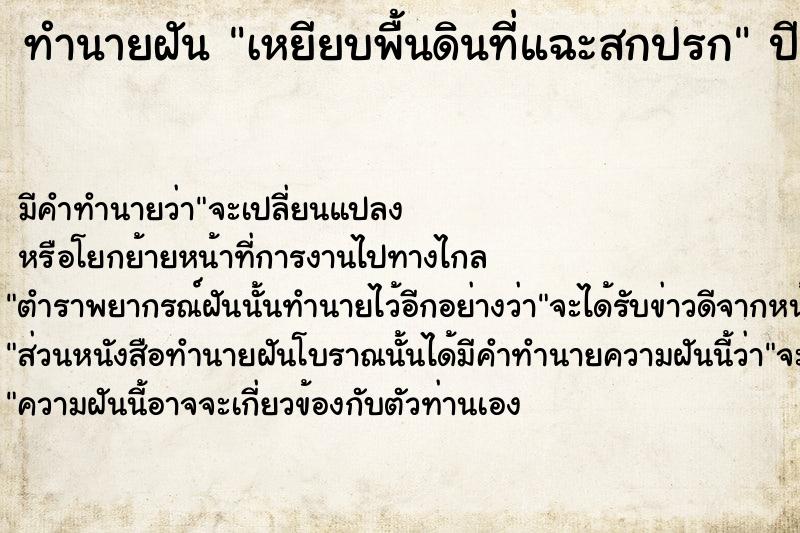 ทำนายฝัน เหยียบพื้นดินที่แฉะสกปรก  เลขนำโชค 