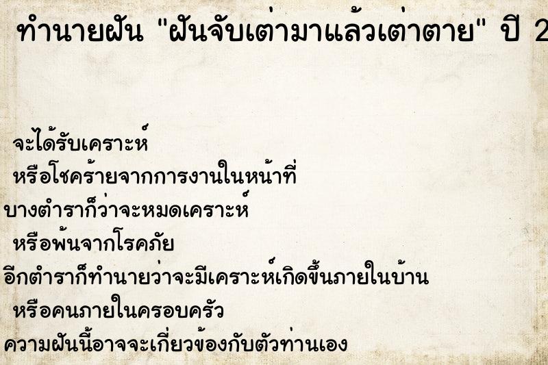 ทำนายฝัน ฝันจับเต่ามาแล้วเต่าตาย