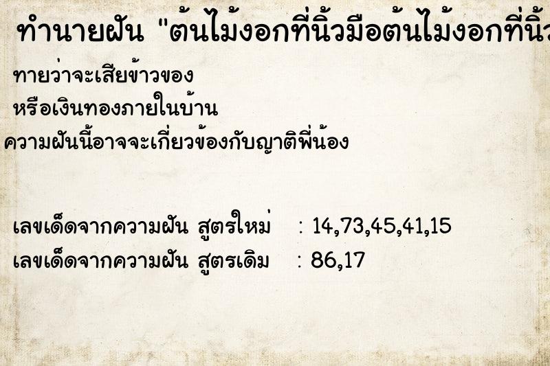 ทำนายฝัน ต้นไม้งอกที่นิ้วมือต้นไม้งอกที่นิ้วมือ