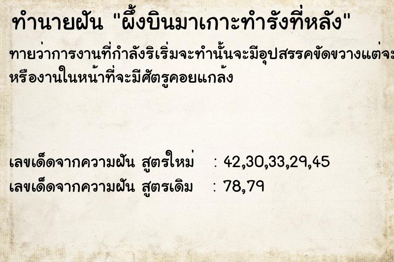 ทำนายฝัน ผึ้งบินมาเกาะทำรังที่หลัง