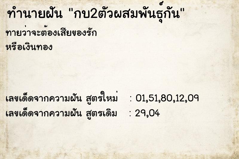 ทำนายฝัน กบ2ตัวผสมพันธุ์กัน