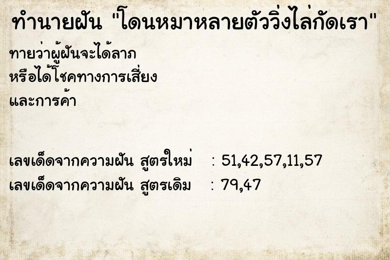 ทำนายฝัน โดนหมาหลายตัววิ่งไล่กัดเรา  เลขนำโชค 