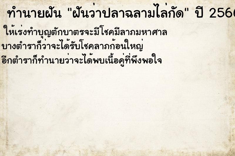 ทำนายฝัน ฝันว่าปลาฉลามไล่กัด  เลขนำโชค 