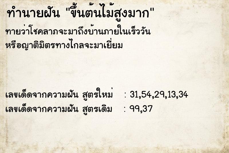 ทำนายฝัน ขึ้นต้นไม้สูงมาก