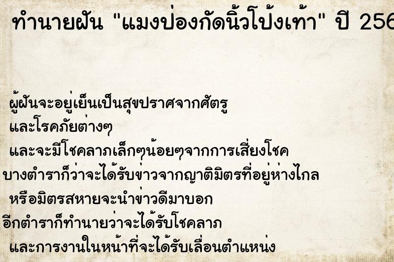 ทำนายฝัน แมงป่องกัดนิ้วโป้งเท้า  เลขนำโชค 