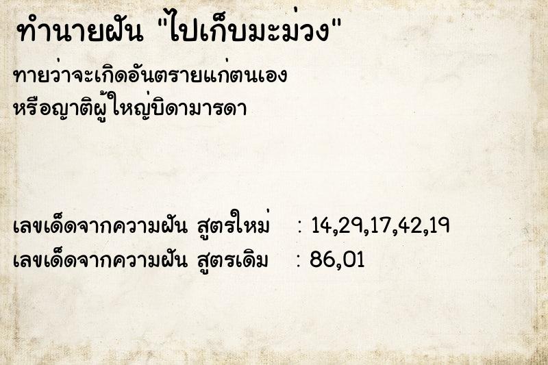 ทำนายฝัน ไปเก็บมะม่วง