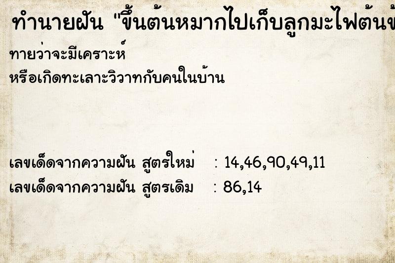 ทำนายฝัน ขึ้นต้นหมากไปเก็บลูกมะไฟต้นข้าง