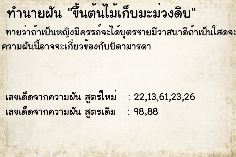 ทำนายฝัน ขึ้นต้นไม้เก็บมะม่วงดิบ