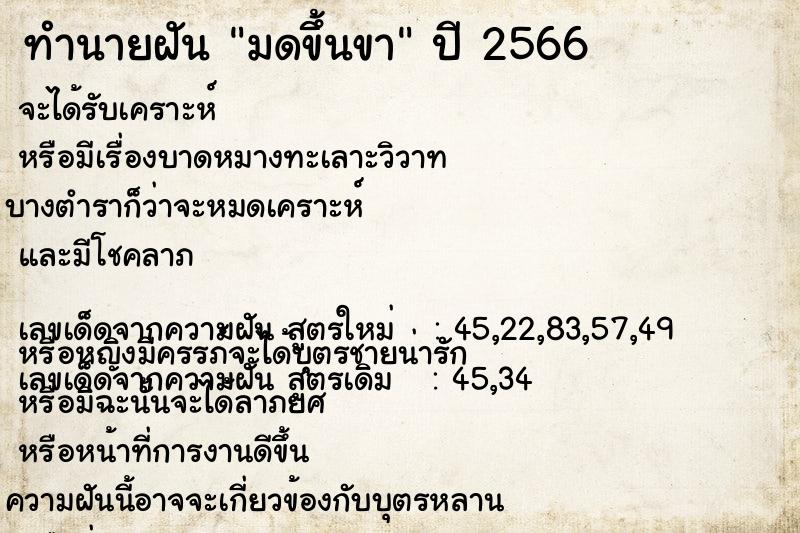 ทำนายฝัน มดขึ้นขา