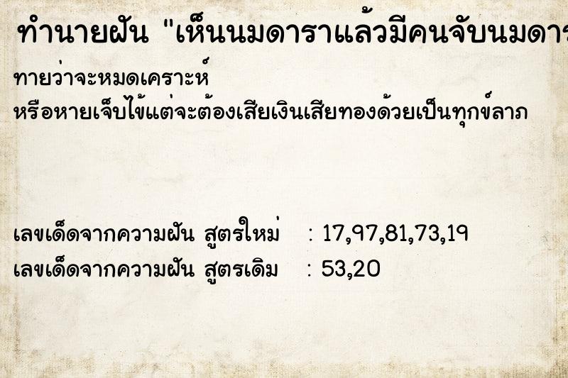 ทำนายฝัน เห็นนมดาราแล้วมีคนจับนมดารา  เลขนำโชค 