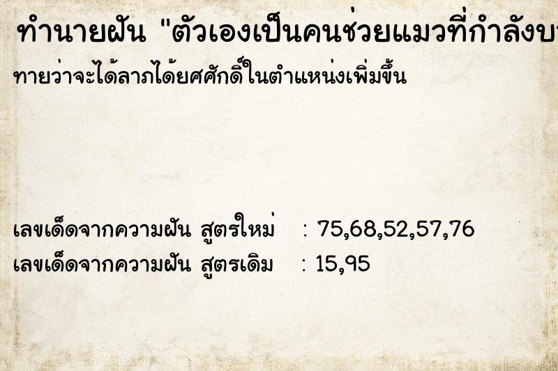 ทำนายฝัน ตัวเองเป็นคนช่วยแมวที่กำลังบาดเจ็บ