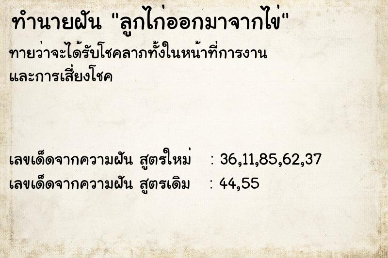 ทำนายฝัน ลูกไก่ออกมาจากไข่