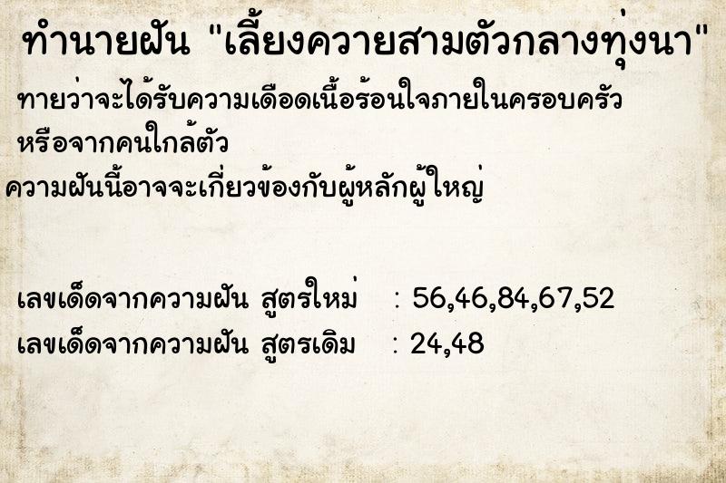 ทำนายฝัน เลี้ยงควายสามตัวกลางทุ่งนา