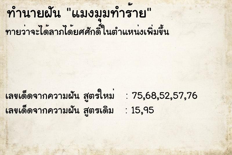 ทำนายฝัน #ทำนายฝัน #แมงมุมทำร้าย  เลขนำโชค 