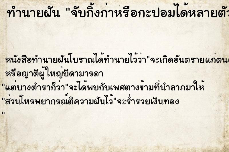 ทำนายฝัน จับกิ้งก่าหรือกะปอมได้หลายตัว