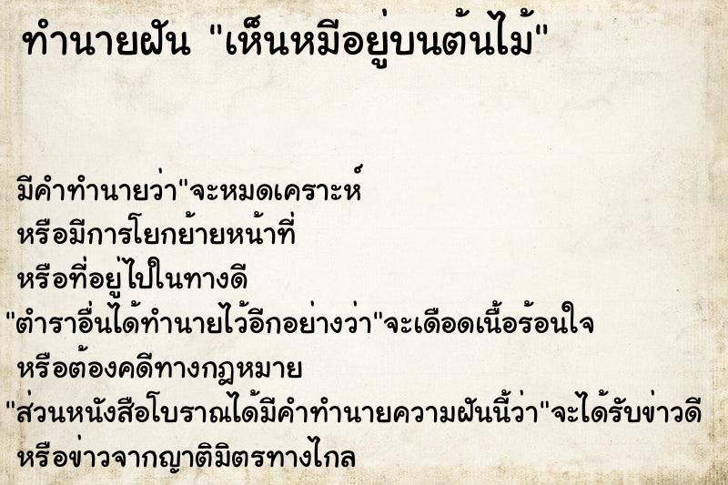 ทำนายฝัน เห็นหมีอยู่บนต้นไม้