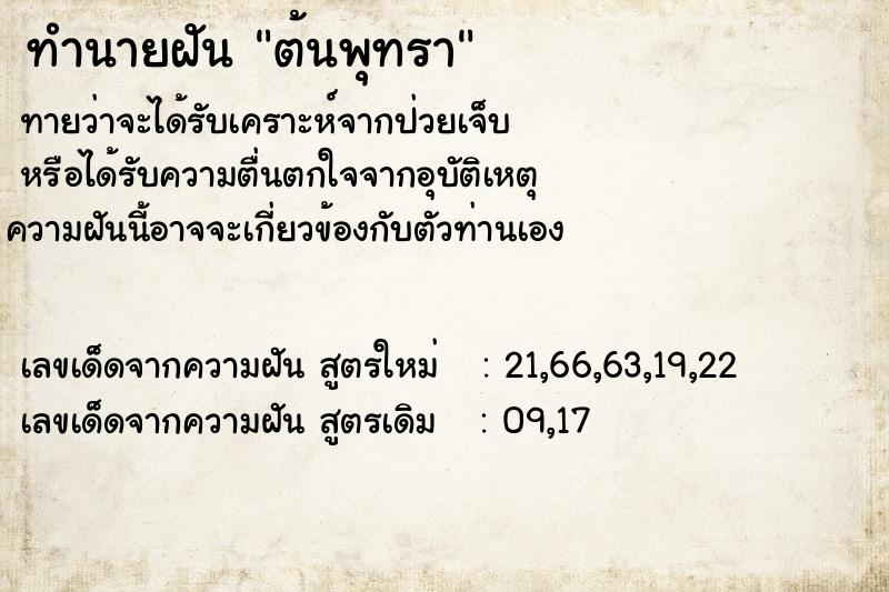 ทำนายฝัน ต้นพุทรา