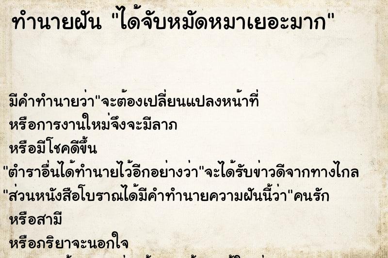 ทำนายฝัน ได้จับหมัดหมาเยอะมาก