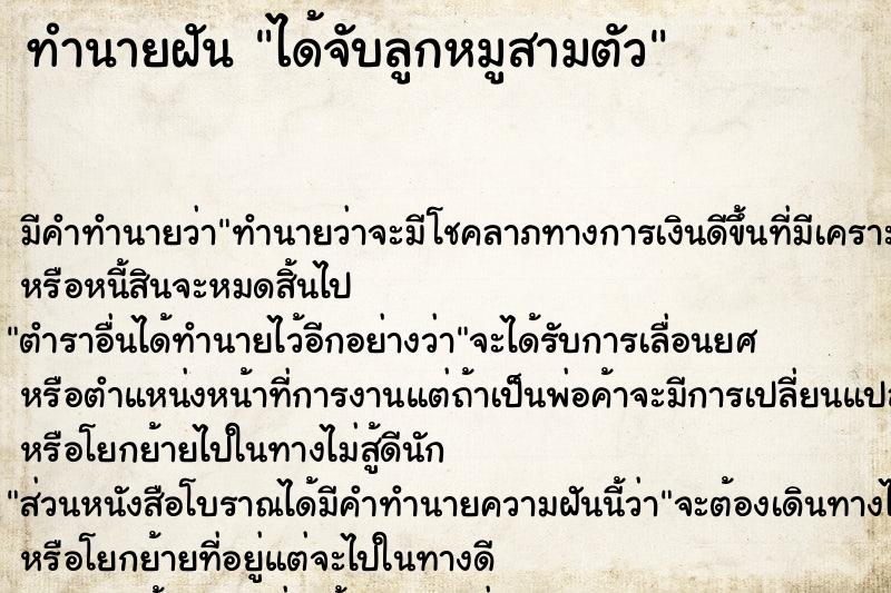 ทำนายฝัน ได้จับลูกหมูสามตัว