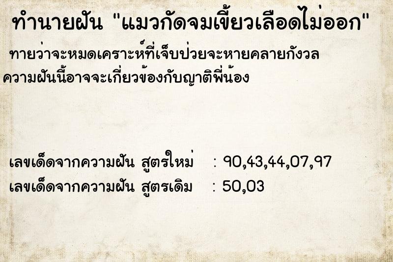 ทำนายฝัน แมวกัดจมเขี้ยวเลือดไม่ออก