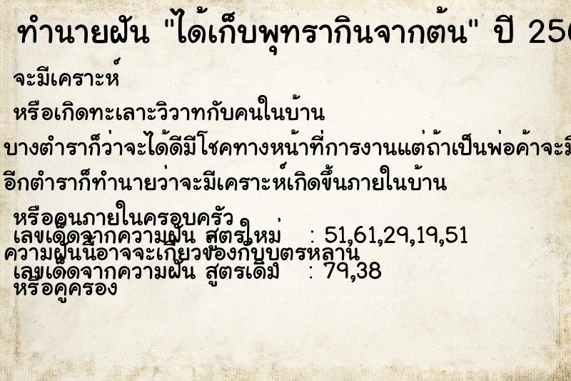 ทำนายฝัน ได้เก็บพุทรากินจากต้น  เลขนำโชค 