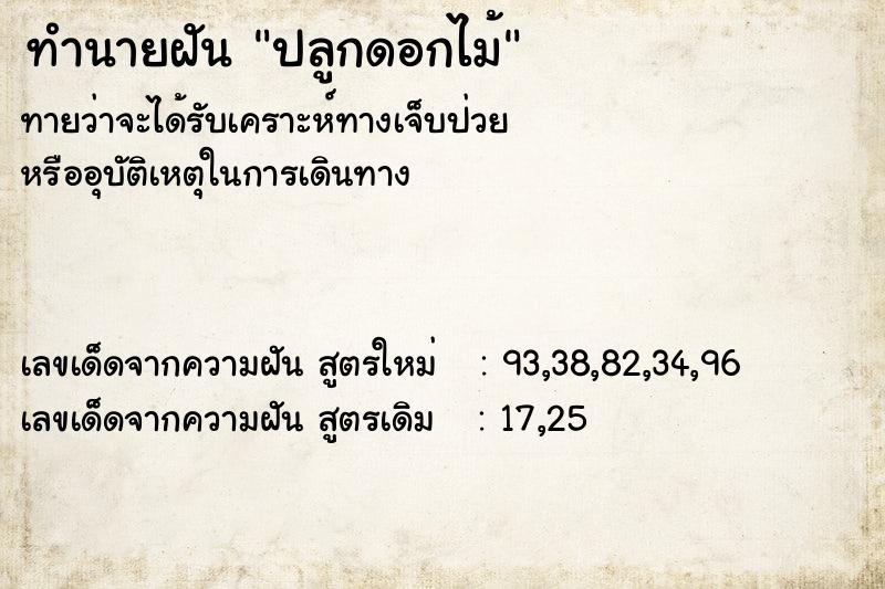 ทำนายฝัน ปลูกดอกไม้