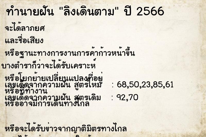 ทำนายฝัน ลิงเดินตาม  เลขนำโชค 