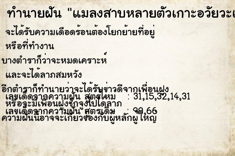 ทำนายฝัน แมลงสาบหลายตัวเกาะอวัยวะเพศ