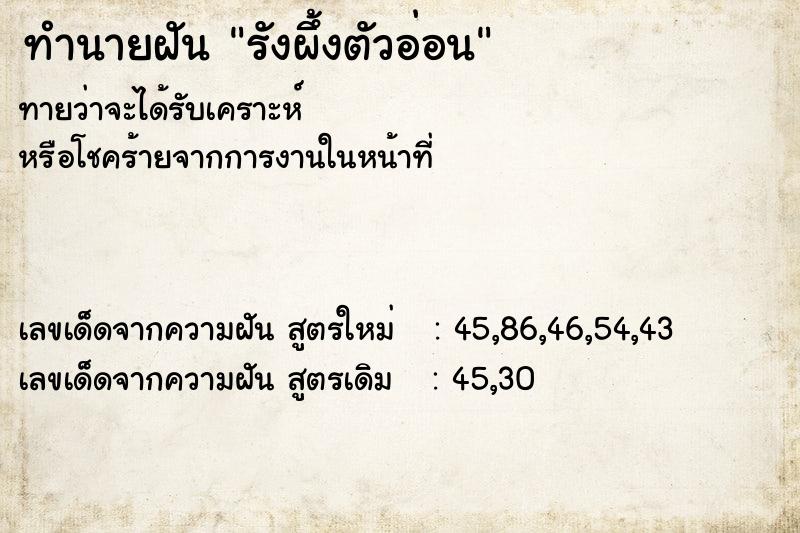 ทำนายฝัน รังผึ้งตัวอ่อน