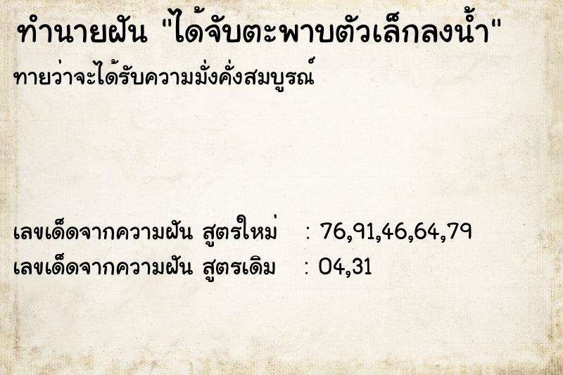 ทำนายฝัน ได้จับตะพาบตัวเล็กลงน้ำ