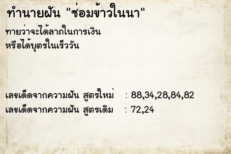 ทำนายฝัน ซ่อมข้าวในนา