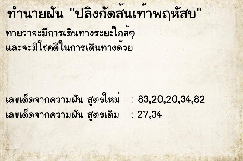 ทำนายฝัน ปลิงกัดส้นเท้าพฤหัสบ