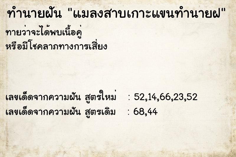 ทำนายฝัน แมลงสาบเกาะแขนทำนายฝ