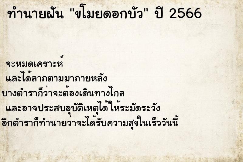 ทำนายฝัน ขโมยดอกบัว