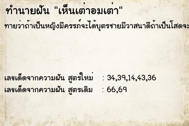 ทำนายฝัน เห็นเต่าอมเต่า