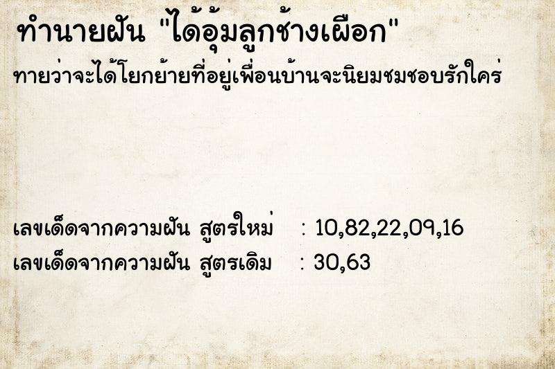 ทำนายฝัน ได้อุ้มลูกช้างเผือก