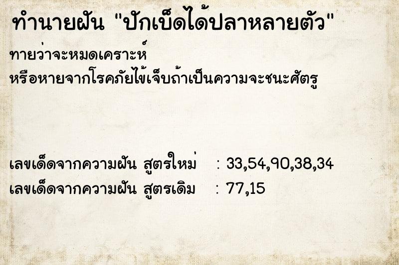 ทำนายฝัน ปักเบ็ดได้ปลาหลายตัว