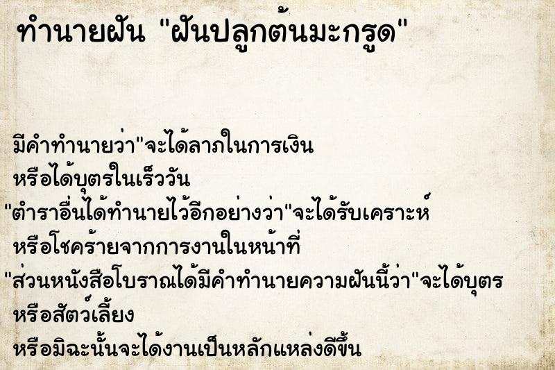 ทำนายฝัน ฝันปลูกต้นมะกรูด