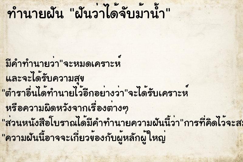 ทำนายฝัน ฝันว่าได้จับม้าน้ำ