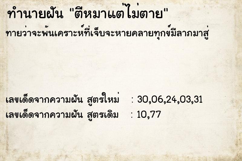 ทำนายฝัน ตีหมาแต่ไม่ตาย