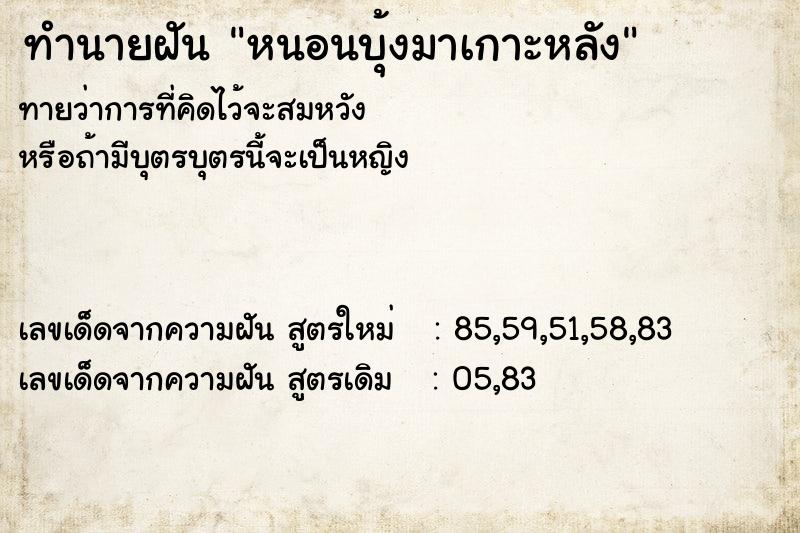 ทำนายฝัน หนอนบุ้งมาเกาะหลัง