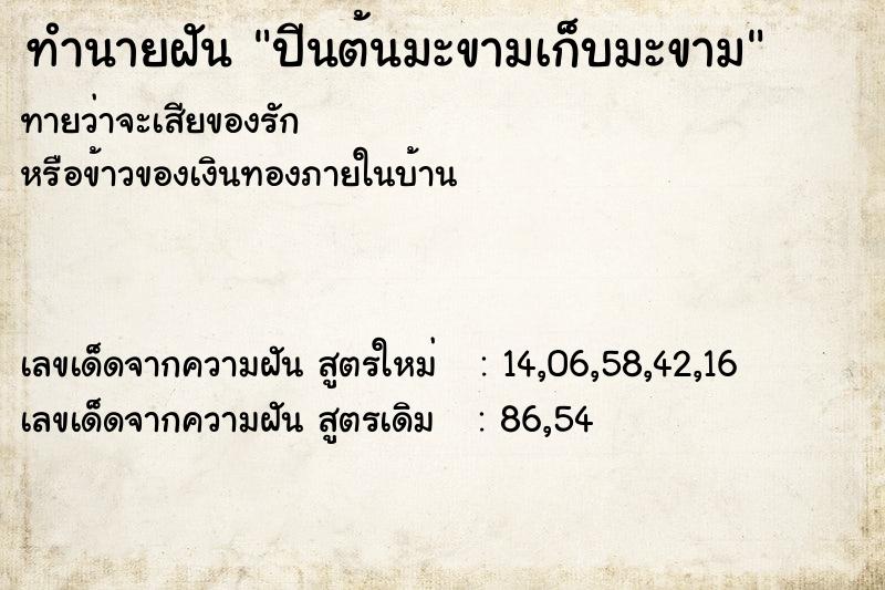 ทำนายฝัน ปีนต้นมะขามเก็บมะขาม